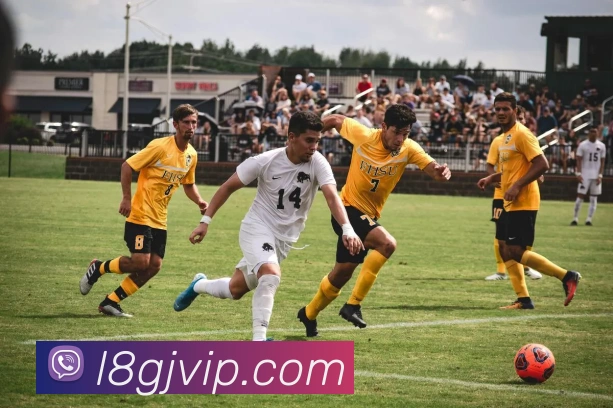 龙8国际平台生态图