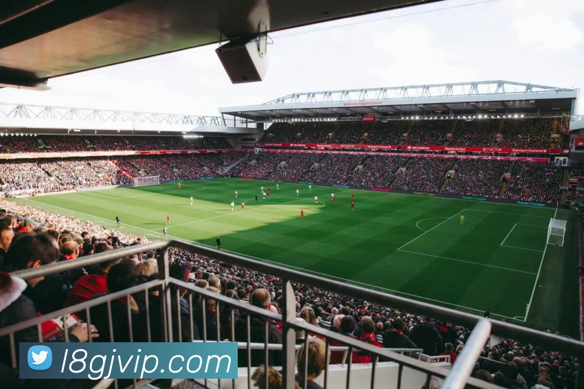 龙8国际APP 封面图